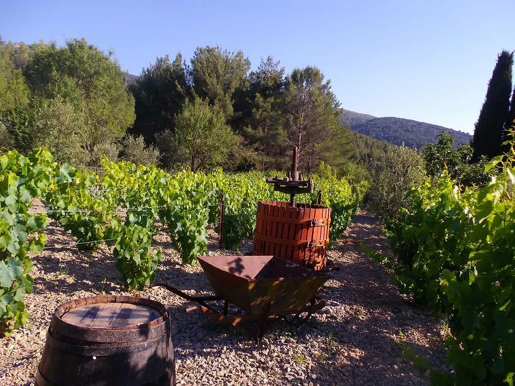 Au Havre De Paix Sainte Victoire Vauvenargues Hotel Guest house